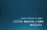 Little monster video analysis