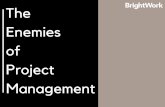 The Enemies of Project Management
