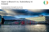 Open a Branch vs. a Subsidiary in Ireland