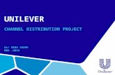 Unilever Distribution Channels  - Project
