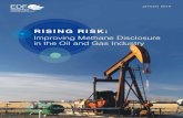 EDF - Rising Risk