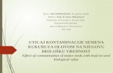 Oto Doroghazi - Effect of contamination of maize seeds with lead on seed biological value (winner scientific thesis in Serbia 2006 and Poland 2007)