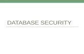 01  database security ent-db