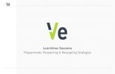 Ve interactive Prospecting & Retargeting Strategies Webinar