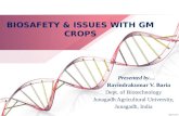 BIOSAFETY & ISSUES WITH GM CROPS