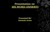 Ms Word (Insert Option)