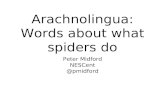iEvoBio 2012 Lightning Talk - Arachnolingua