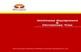 Hwayoo - Wellhead Equipment & Christmass Tree 20160802