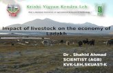 Livestock in ladakh