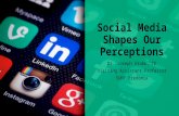 Social Media Shapes Our Perceptions