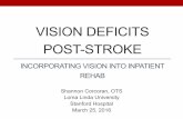 Vision Deficits Post-Stroke In-Service
