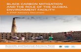 Black Carbon Mitigation and the Role of the Global Environment ...