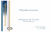 Mushrooms: Industry and Trade Summary, USITC Publication ITS