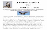 Osprey Nesting Site and Live Camera Errected at Crooked Lake