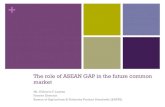 The role of ASEAN GAP in the future common market