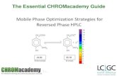 The Essential CHROMacademy Guide Mobile Phase Optimization ...