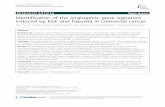 Identification of the angiogenic gene signature induced by EGF and ...