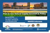 Plan to Use Natural Capital Account in Policy