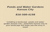 Ponds and water gardens kansas city 816 500-4198