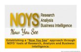 NOYS Research, Analysis & Business Intelligence - brief business slides