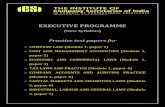 Practice test papers for Executive Programme