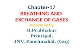 17. Breathing and Exchange of Gases