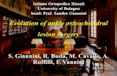 Evolution of ankle osteochondral lesion surgery