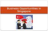 Business opportunities in Singapore