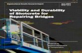 Viability and Durability of Shotcrete for Repairing Bridges