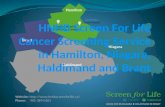 HNHB Screen for Life Cancer Screening Service in Hamilton, Niagara, Haldimand and Brant