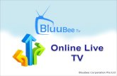 BLUUBEE TV BUSINESS PRESENTATION
