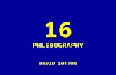 16 DAVID SUTTON PICTURES Phlebography