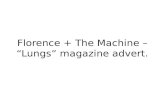 Florence + the machine magazine advert