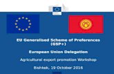 Frosio - EU Generalised Scheme of Preferences (en)