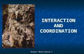Interaction and coordination