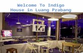 List of service offered by indigo house in laos..