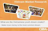Vietnamese Youth Dream Report_by Q&Me