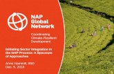 Initiating Sector Integration in the NAP Process: A spectrum
