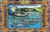 The miracle of migration in animals. english