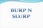 Burp n Slurp, Food festival in chandigarh.