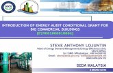 Energy audit conditional grant