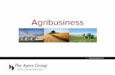 The Ayres Group - Agribusiness Insurance