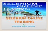 Selenium Online Training from Hyderabad,India,USA,UK,Canada