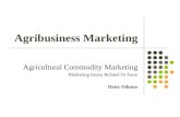 Agricultural commodity marketing; marketing issues related to form