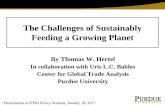 The challenges of sustainably feeding a growing planet
