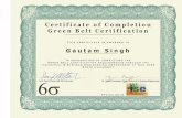 Gautam Singh - Six Sigma Green Belt