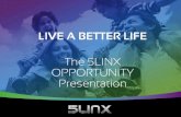 Revised 5Linx Presentation