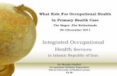 Integrated Occupational Health Services in Islamic Republic of Iran