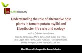 Session 5: Research impact – an end-user perspective: Tomato potato psyllid and liberibacter ecology
