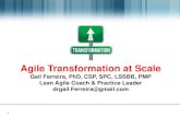 Agile Transformation at Scale